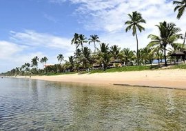 Conheça o litoral sul de Pernambuco | MaxMilhas