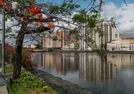 O que fazer em Recife: passeios e pontos turísticos