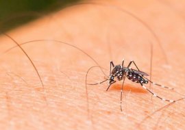 Como se proteger do Zika nas viagens
