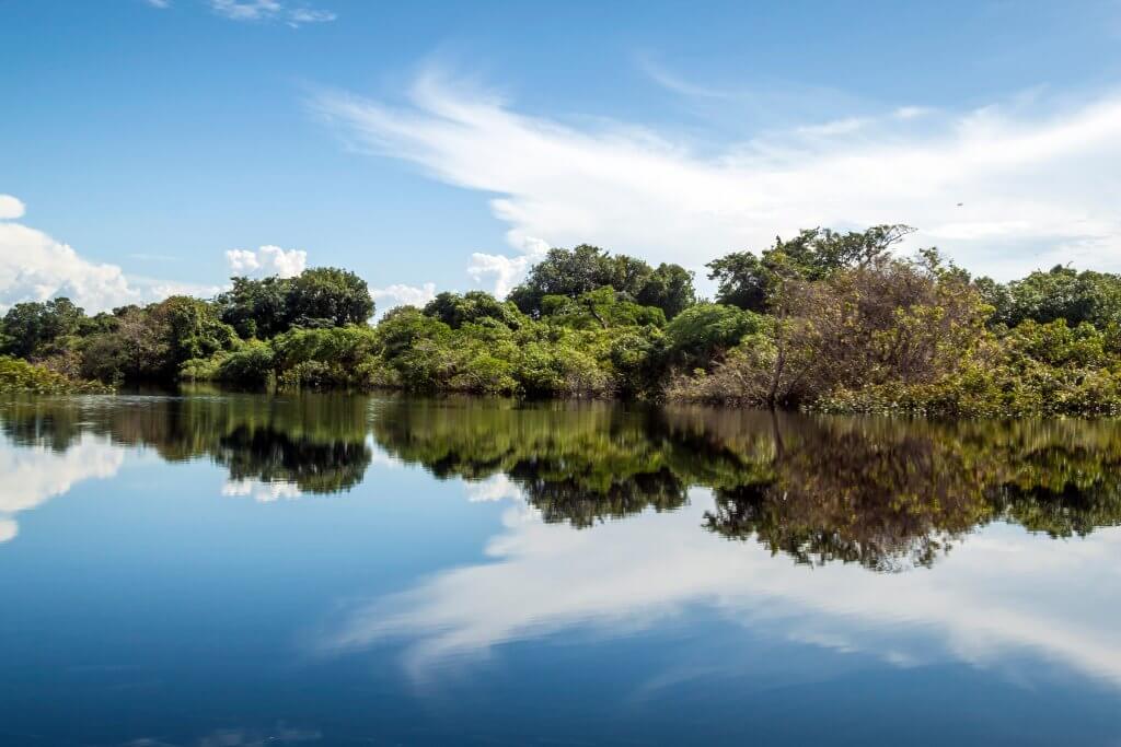 imagem do parque nacional do Jau refletida nas águas