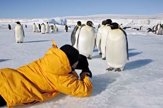 Turista tira fotos perto de pinguins na Antártida