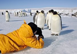 Você sabia que a Antártida também tem turismo?