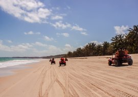 O que fazer em Alagoas?