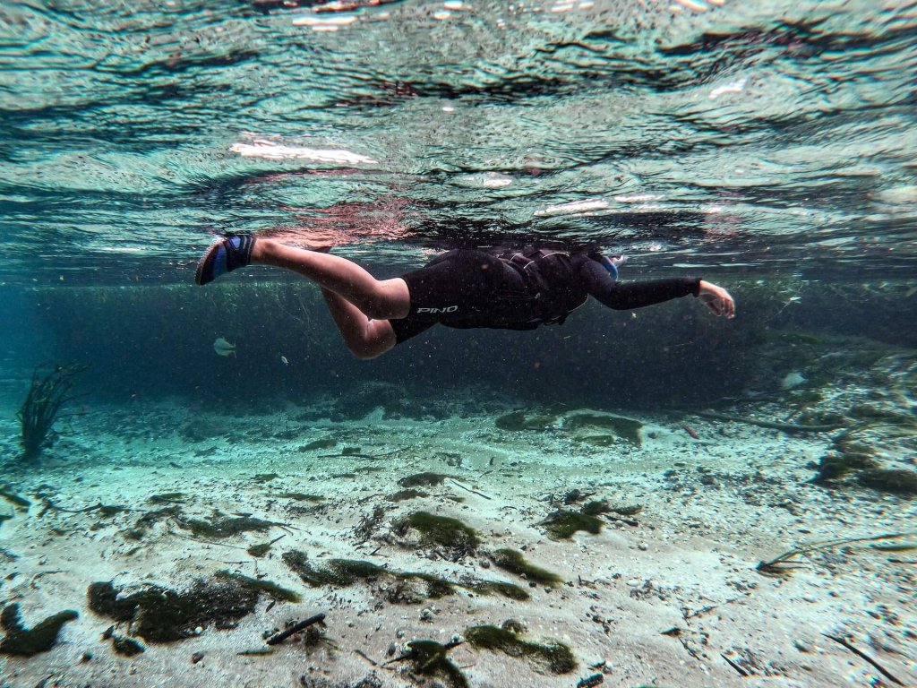 pessoa mergulhando em Bonito