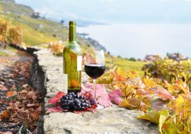 Roteiro do vinho: 5 destinos incríveis para enoturismo