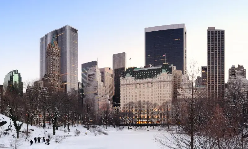 central park no inverno