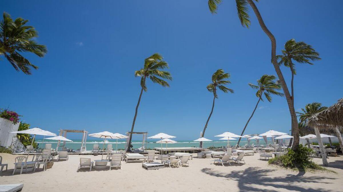 vista de uma praia com areias claras e água turquesa, palmeiras ao vento e várias cadeiras de praia em Maceió, em uma das melhores épocas para visitar a cidade