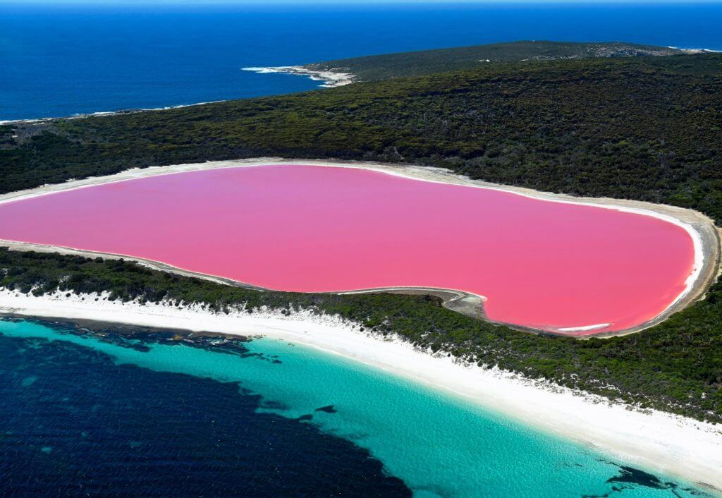 Austrália e nova Zelândia - pink lake