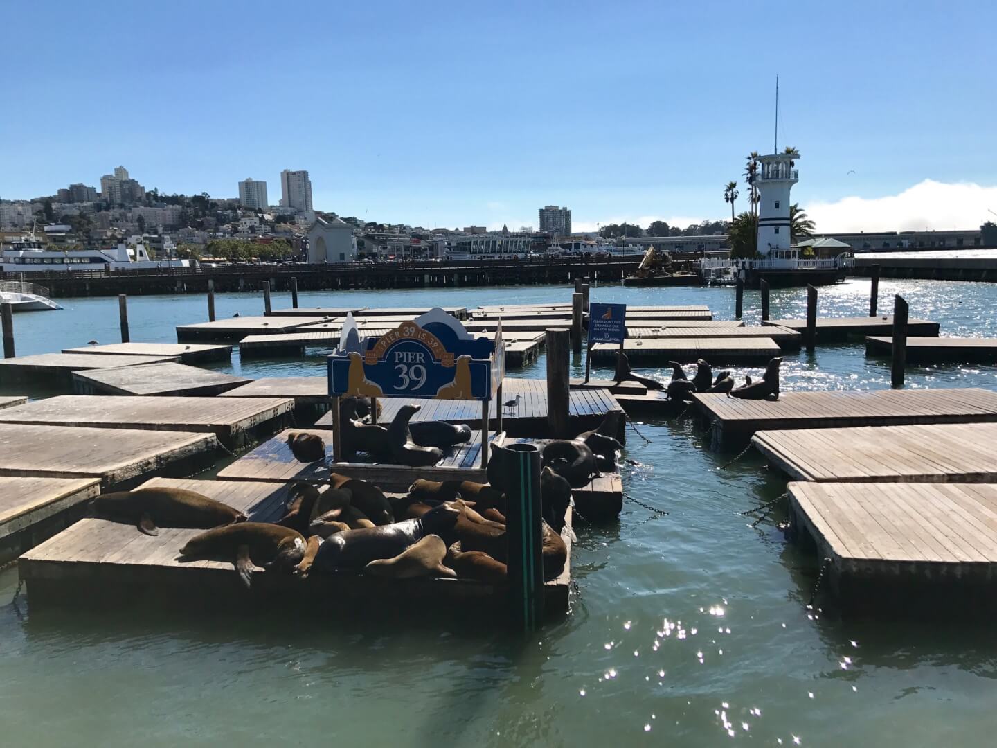 Pier 39, San Francisco. Imagem disponível no Unsplash