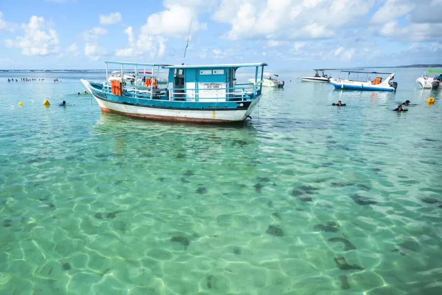 Águas cristalinas banham os mares de Maragogi, o Caribe Brasileiro