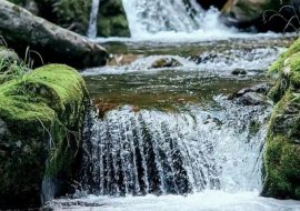 3 cachoeiras em Ouro Preto para ecoturismo  | MaxMilhas
