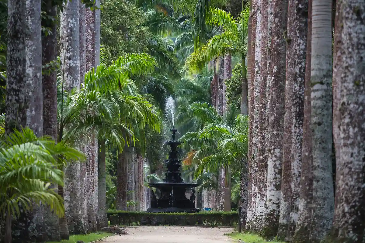 Jardim Botânico, RJ.