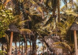 5 melhores praias em Fortaleza | MaxMilhas