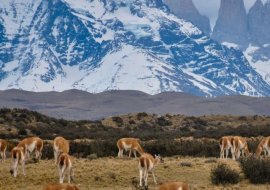 Melhores destinos no Chile | MaxMilhas