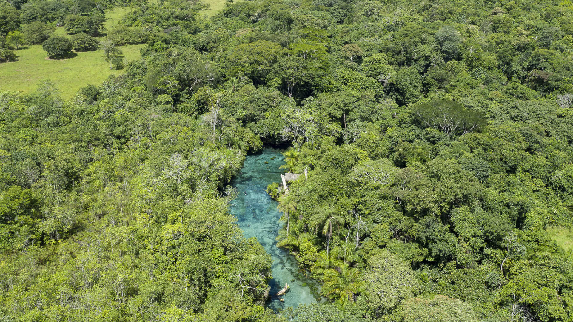 Rio azul passando entre a floresta densa.