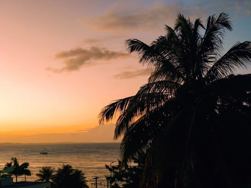 Praia da Pipa à noite. Imagem disponível em Unsplash.