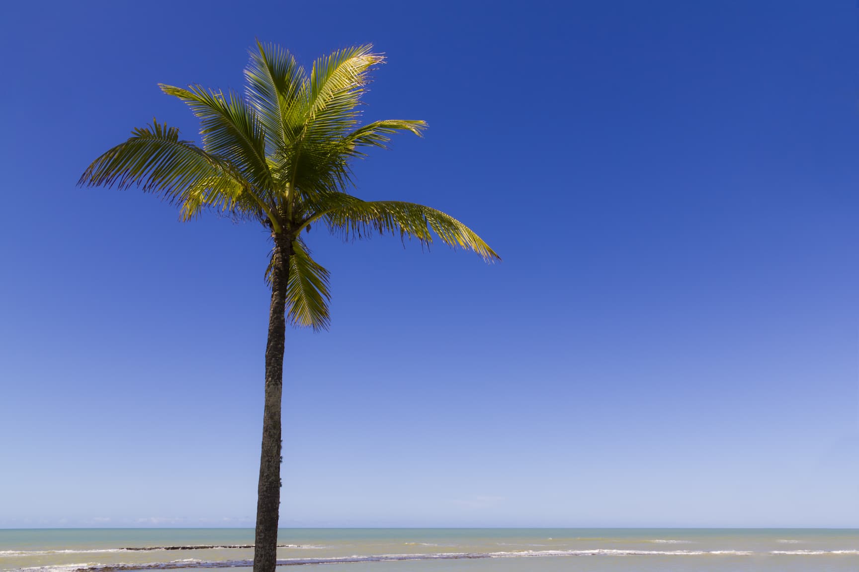Praia do Apaga Fogo. Imagem disponível em Shutterstock.