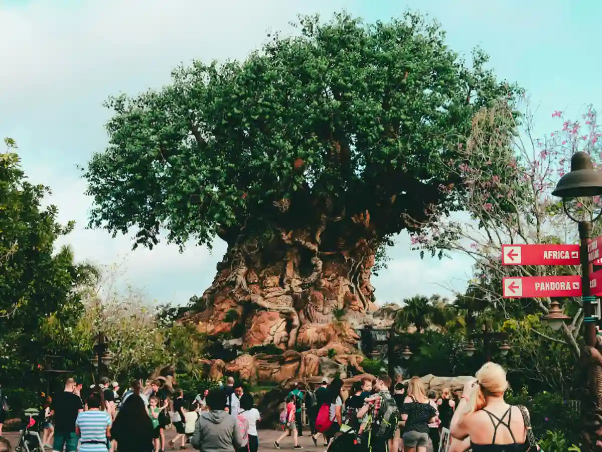 Disney's Animal Kingdom