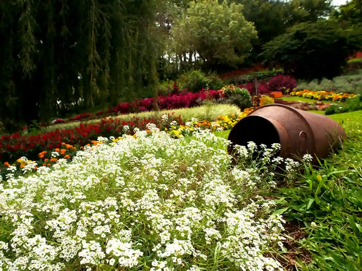 Le Jardin Parque de Lavanda.