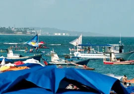 O que fazer em Porto de Galinhas: guia completo com 11 passeios imperdíveis