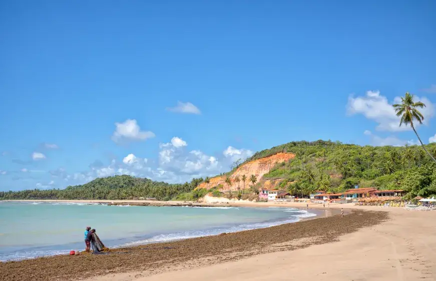 Barreira do Boqueirão, Japaratinga