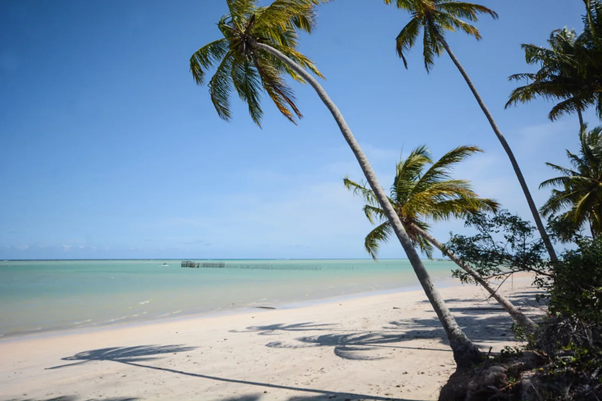 Praia de Ponta do Mangue