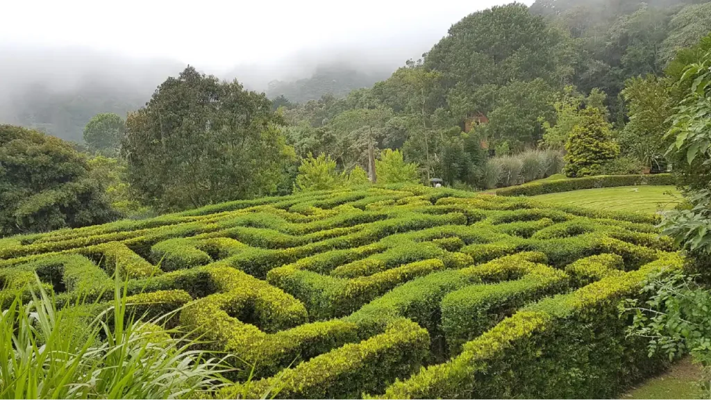 vista de tirar o fôlego do Amantikir Gardens em Campos do Jordão