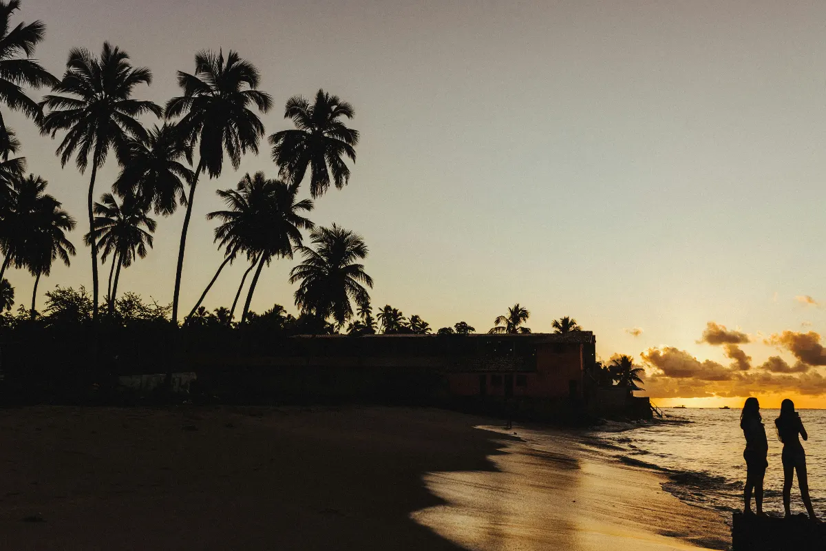 O que fazer em Maragogi a noite, praia