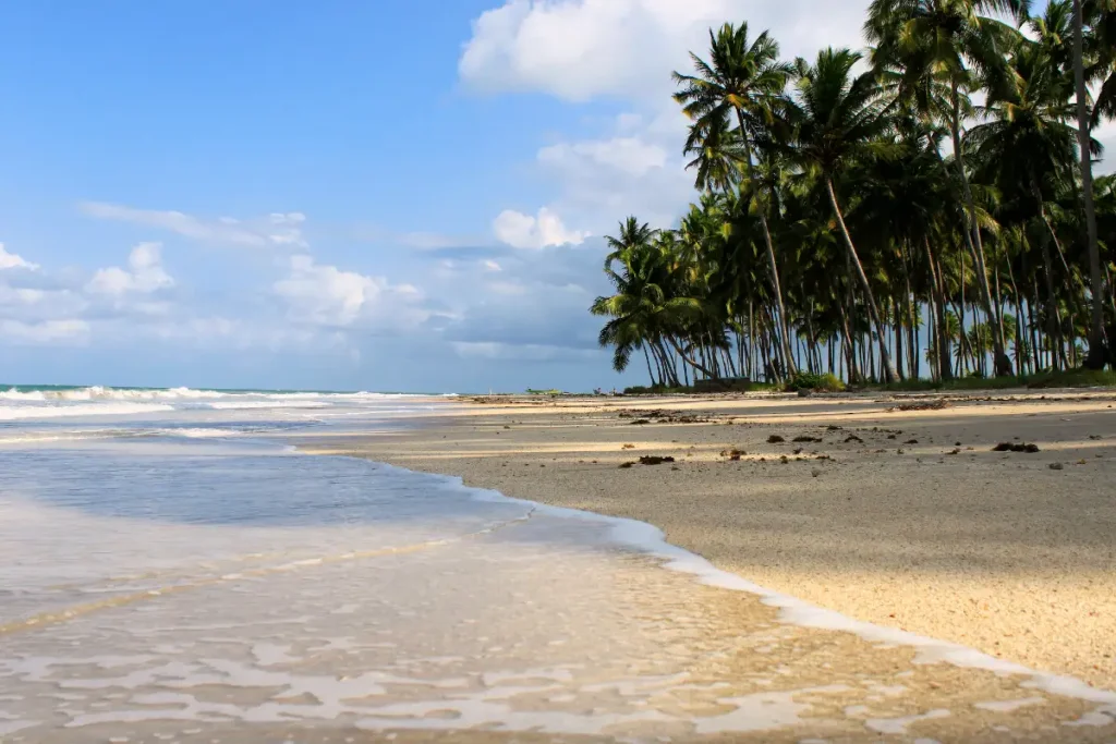 praia dos carneiros