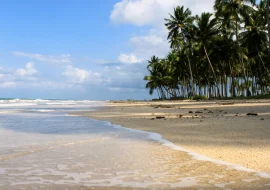 Praia dos Carneiros: o que fazer e melhores dicas